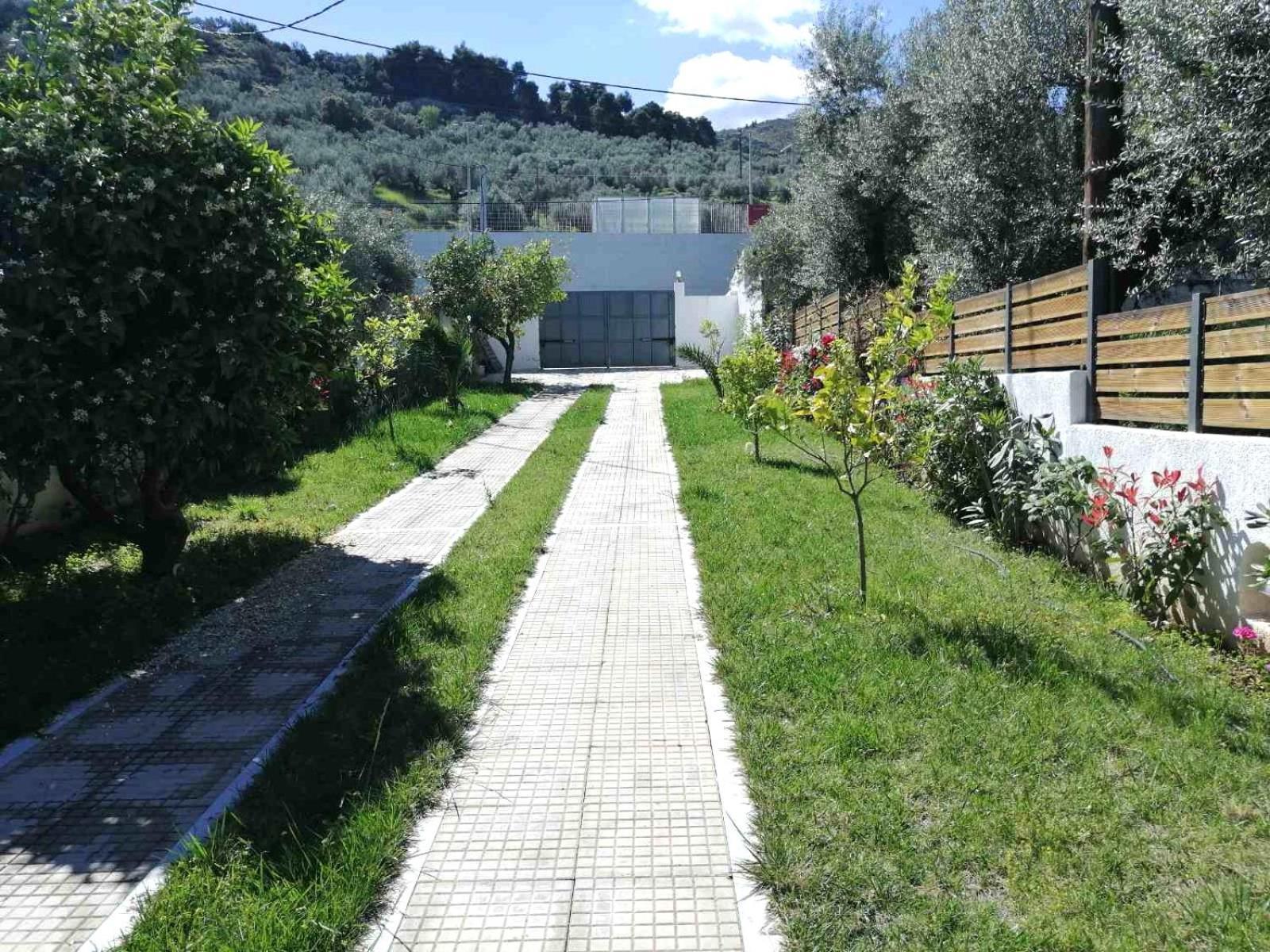 Galini Paralia Platanou Apartment Akrata