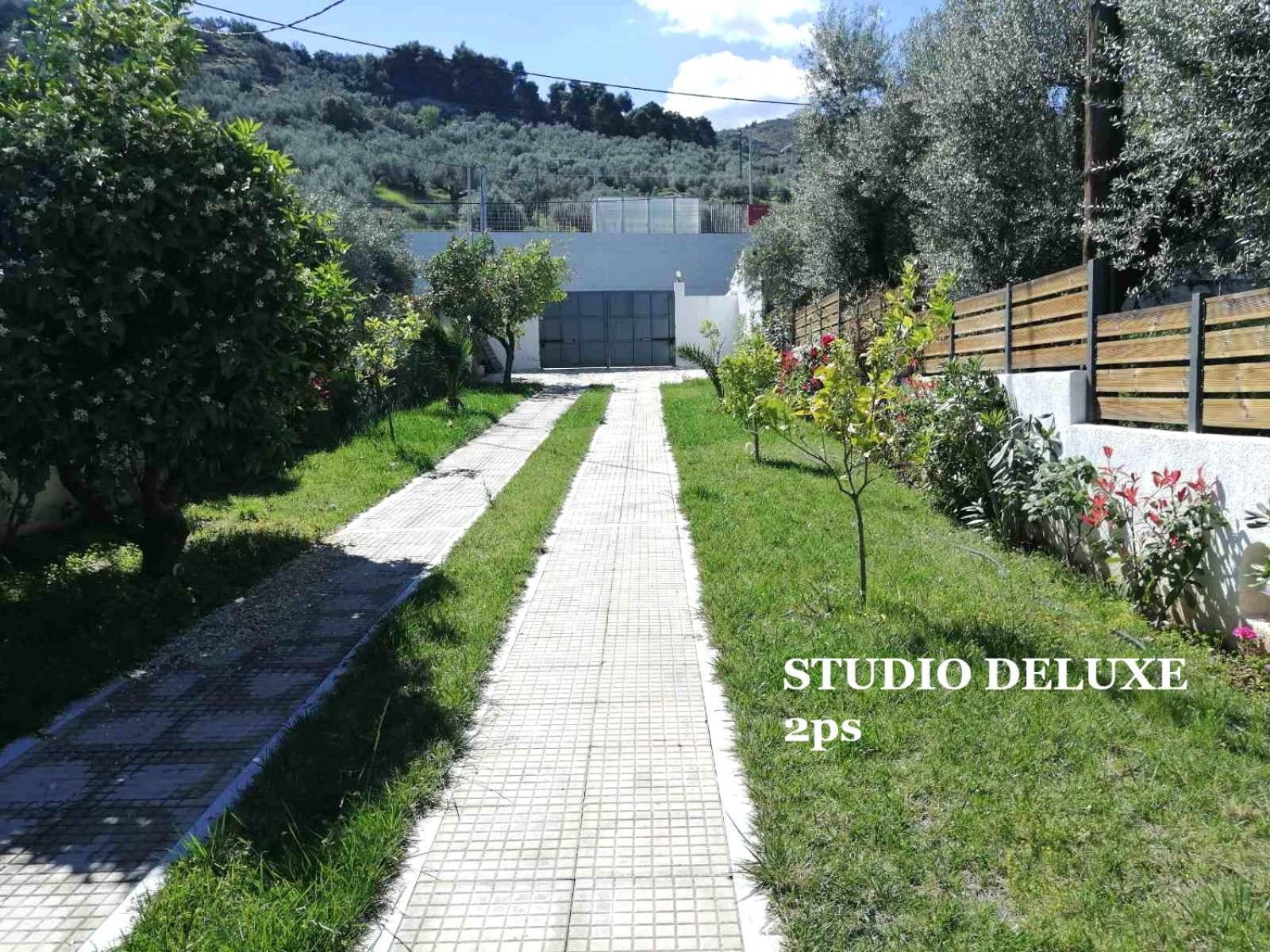 Galini Paralia Platanou