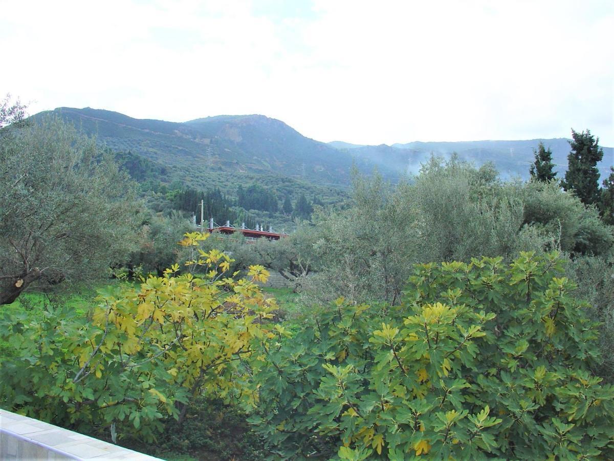 Apartment Galini Paralia Platanou
